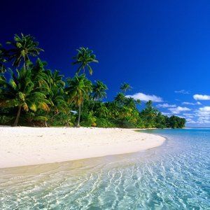 Meet your Posher, Leila